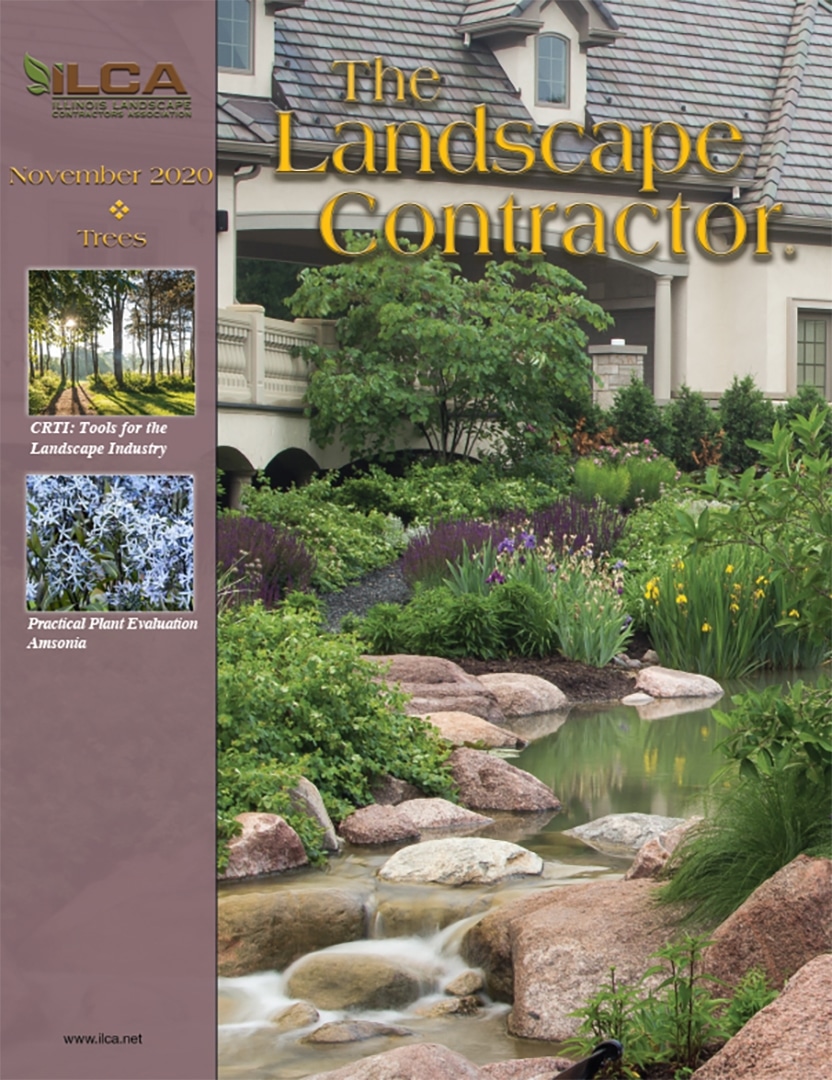 Article in The Landscape Contractor